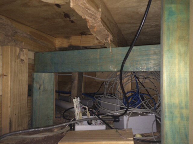 Termites damage century-old section of WA's Parliament House - ABC News