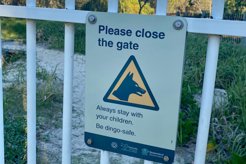 A dingo warning sign on a fence