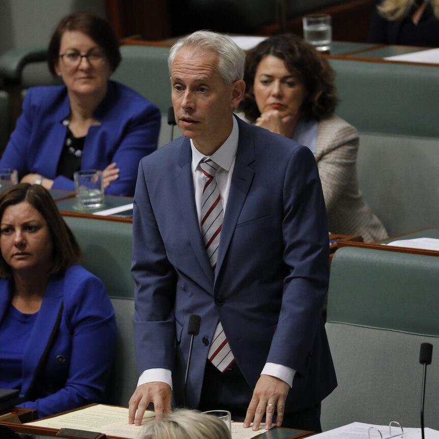 Giles stands, slightly leaning over his desk, as he speaks in the lower house chamber.