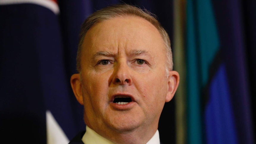 Anthony Albanese speaks