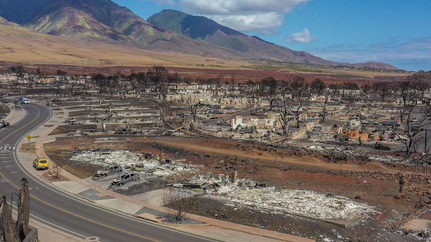 A yellow car drives around a bend in a road next to the burnt-out remains of buildings