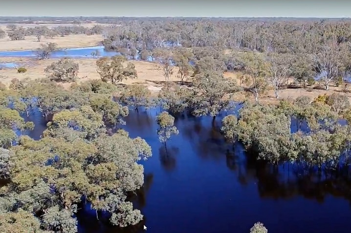 Murray Darling Hatta Lakes