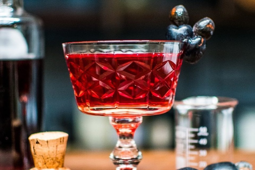 A cocktail with a red liquid sits in a glass with some Illawarra plums as garnish and a cork next to it.