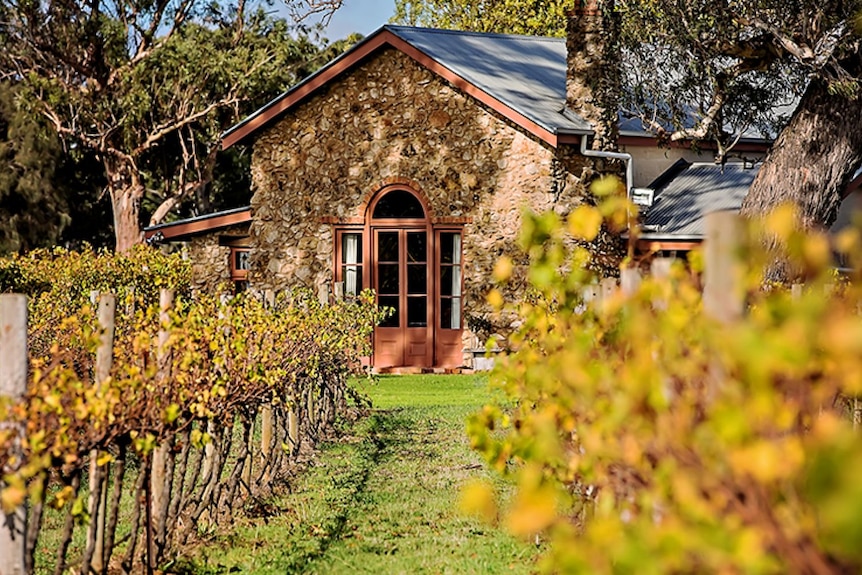 An old stone building with a vineyard. 