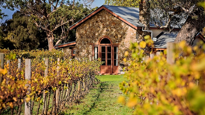 An old stone building with a vineyard. 