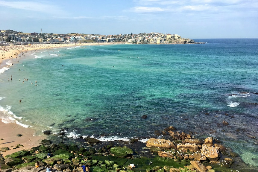 Bondi Beach in Sydney's eastern suburbs.