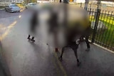 A number of people, blurred out, in a brawl outside a club in Alice Springs.