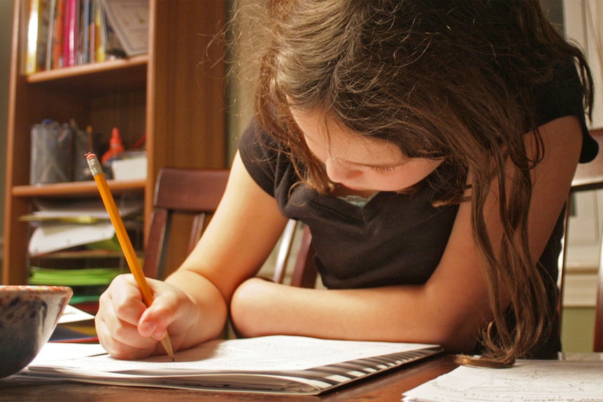 A young girl doing homework.