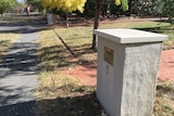 A front yard in Barton, Canberra where front fences are rare.