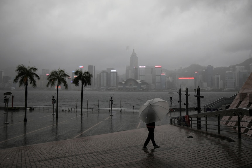 빗속을 걷고 있는 해안가 우산을 들고 있는 사람.