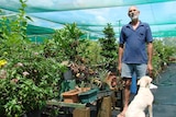 Steven Rose standing with his dog in front of plants growing in his nursery