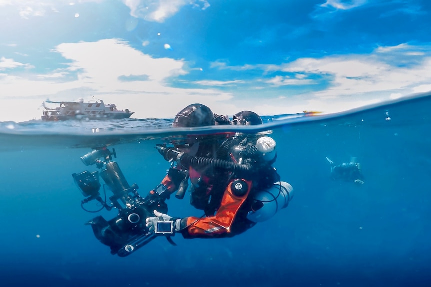 A underwater cameraman floats just below the surface. 