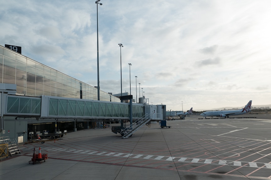 A plane readies to dock at one of the 14 air-bridges at the Adelaide Airport.