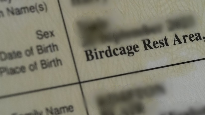 Close-up of a birth certificate showing place of birth as Birdcage Rest Area. Other details are blurred.