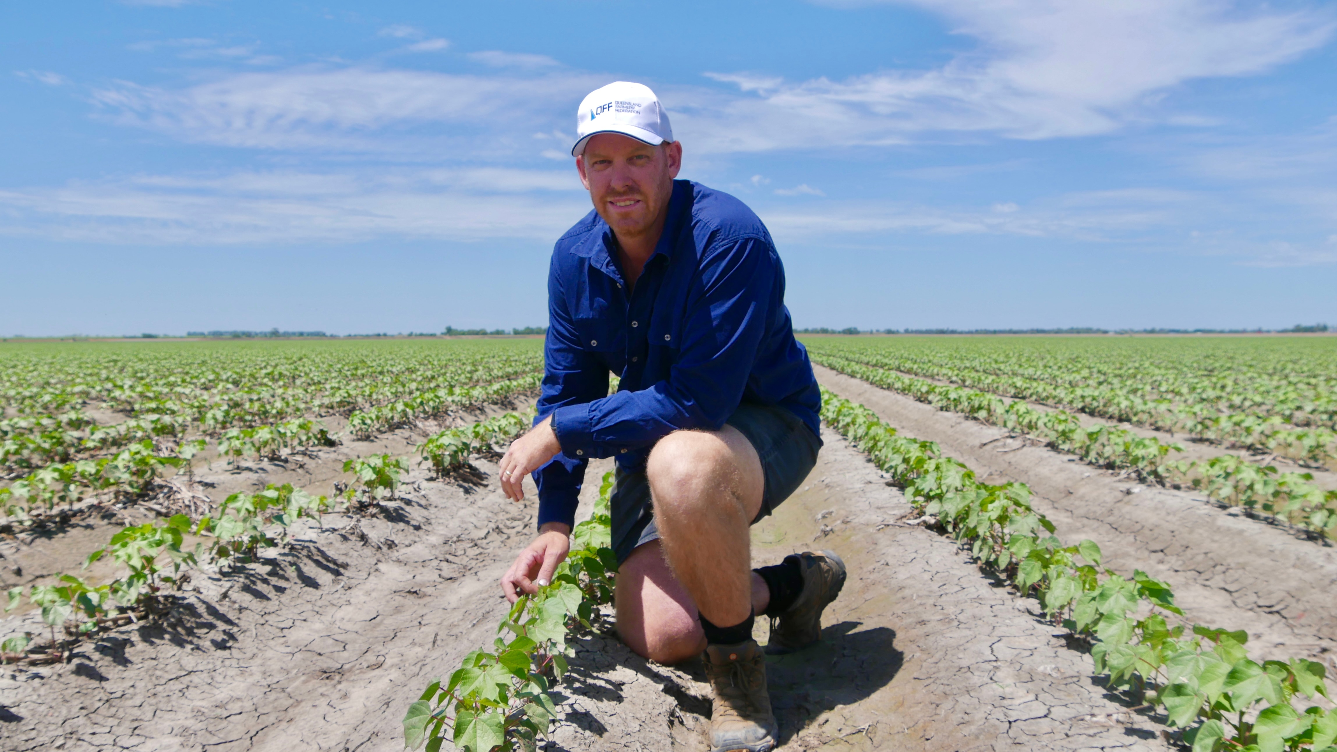 A young man smiles while kneeling in a cotton field. He's in his work gear under a bright blue sky