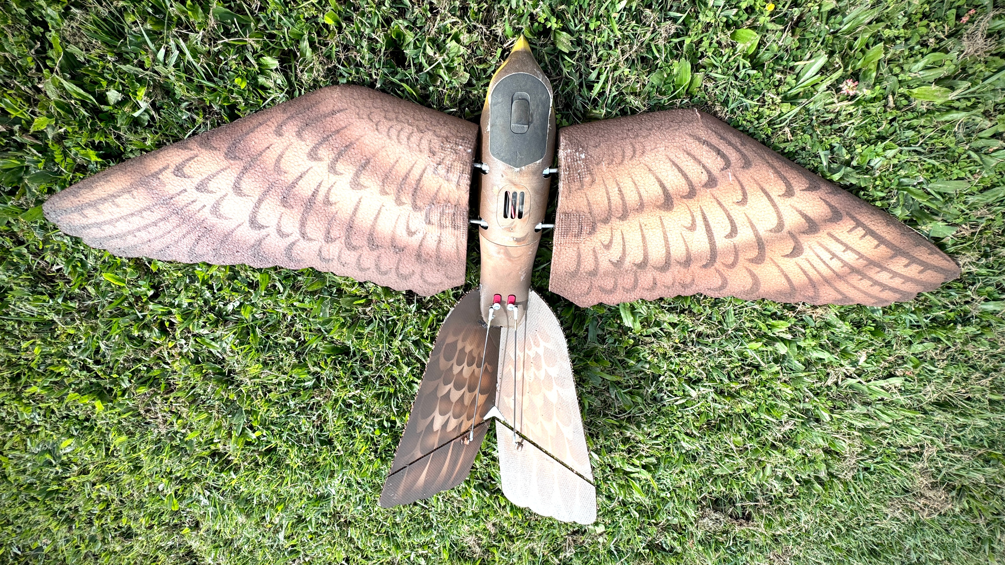 A bird like drone sitting on grass.