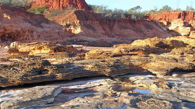 Dinosaur footprints in the Kimberley