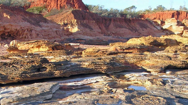 Dinosaur footprints