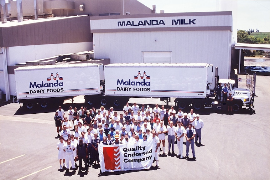 old photo of factory and workers standing in front of branded milk trucks