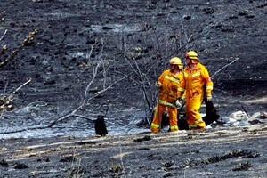 Two firefighters survey the blackened remains following the Bendigo fires, Februaru 10 (Getty Images: Scott Barbour)