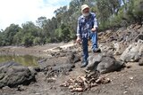 A man stands with a pile of dead marron on a riverbank.