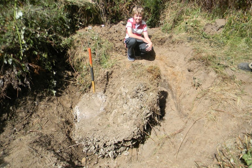 Jordan Waddingham with the giant wasp nest he discovered at Karoola, north east of Launceston Tasmania.