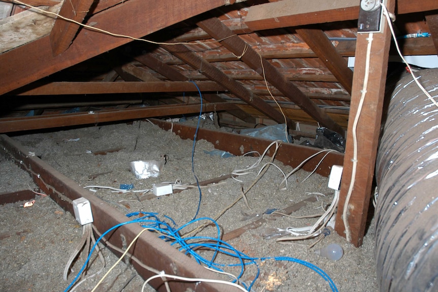 Wires run through insulation in the roof space at the Rayney house.