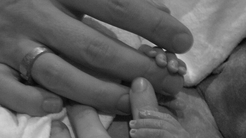 Little baby hands are wrapped around a mother's fingers.
