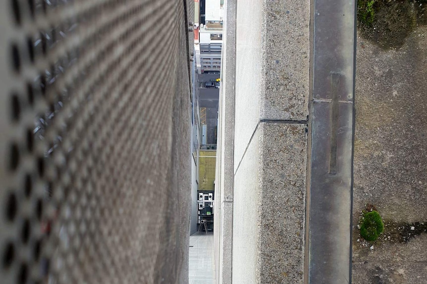 The view of the street straight down from the top of 367 Collins St, where peregrine falcons nest.