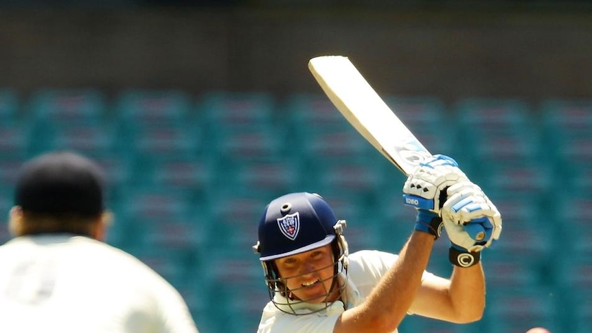 Out of the Blues: Nathan Hauritz compiles an unbeaten 126 on day two at the SCG.