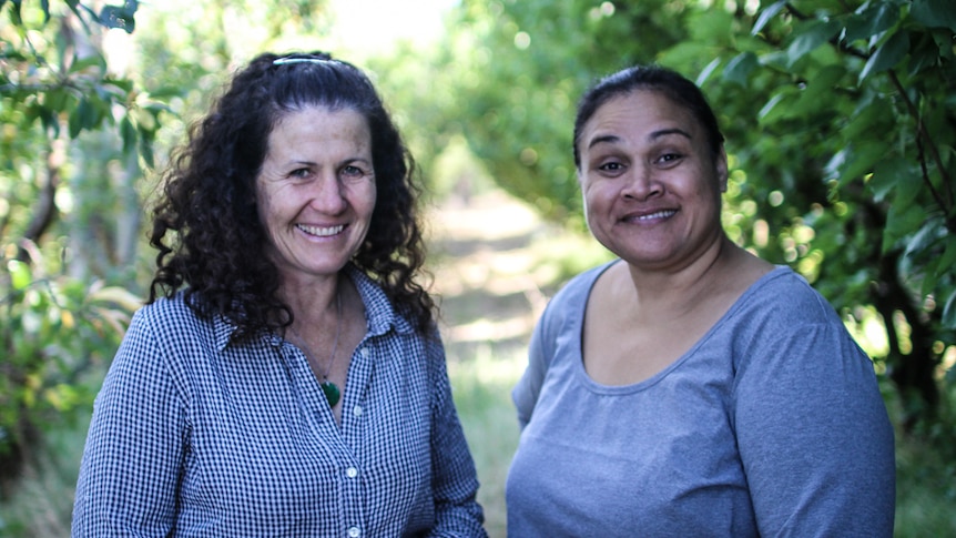 Katie Finlay and Norma Tauiliili in the Harcourt orchard.