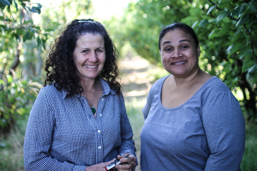 Katie Finlay and Norma Tauiliili in the Harcourt orchard.