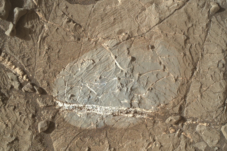 a mineral vein can be seen in Martian rock