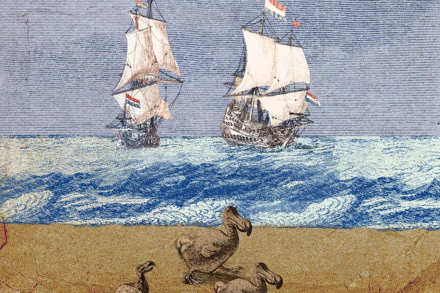 Dodos on shore as two Dutch ships sail past.