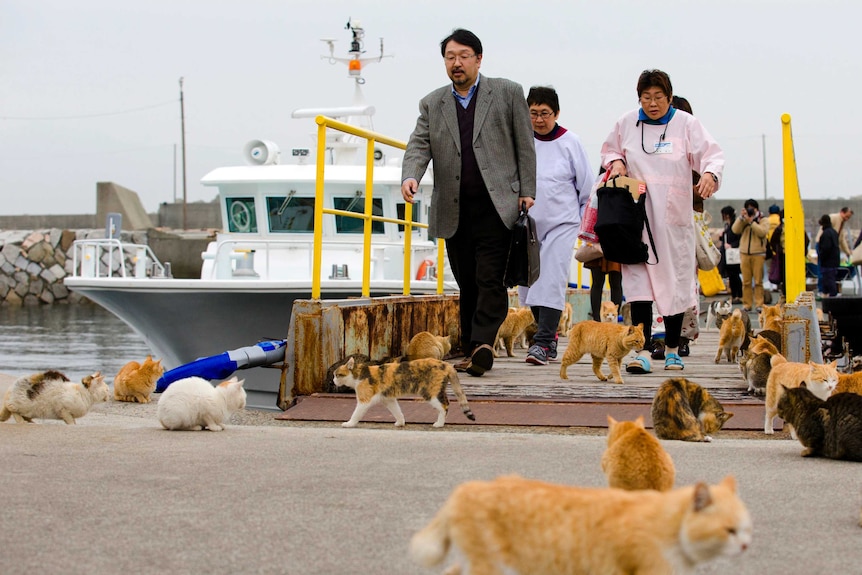 Tourists disembark ferry on Aoshima Island