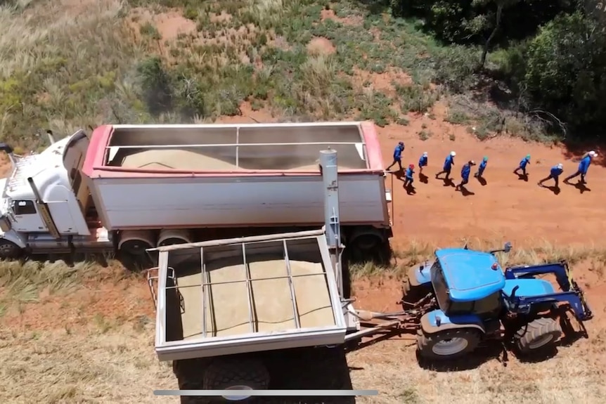 a picture looking down on a truck full of wheat taken from a drone