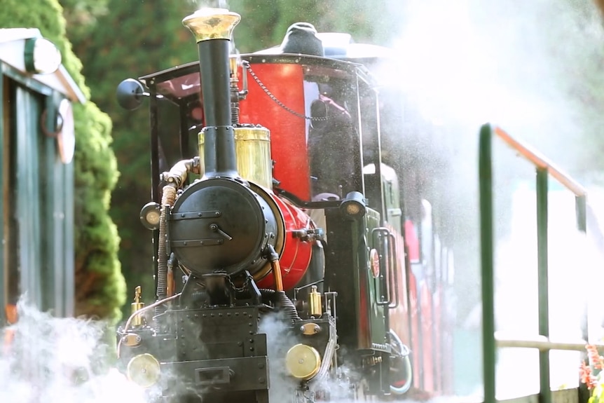 A steam-engine train travels along, puffing steam.