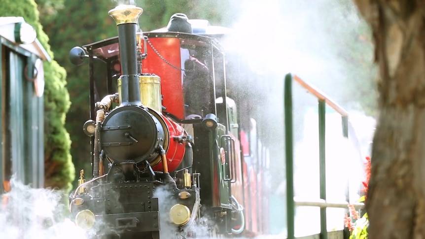 A steam-engine train travels along, puffing steam.