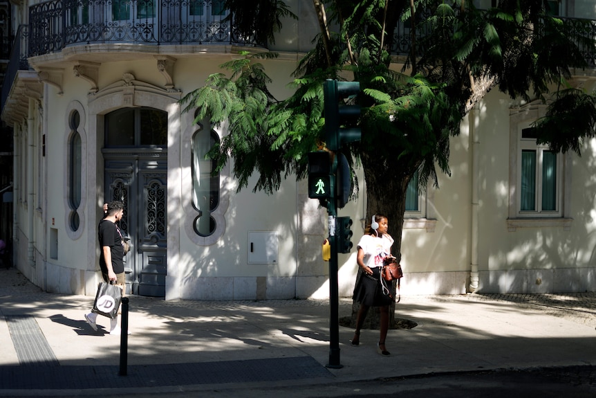 Uma mulher atravessa uma rua repleta de árvores jagarantha