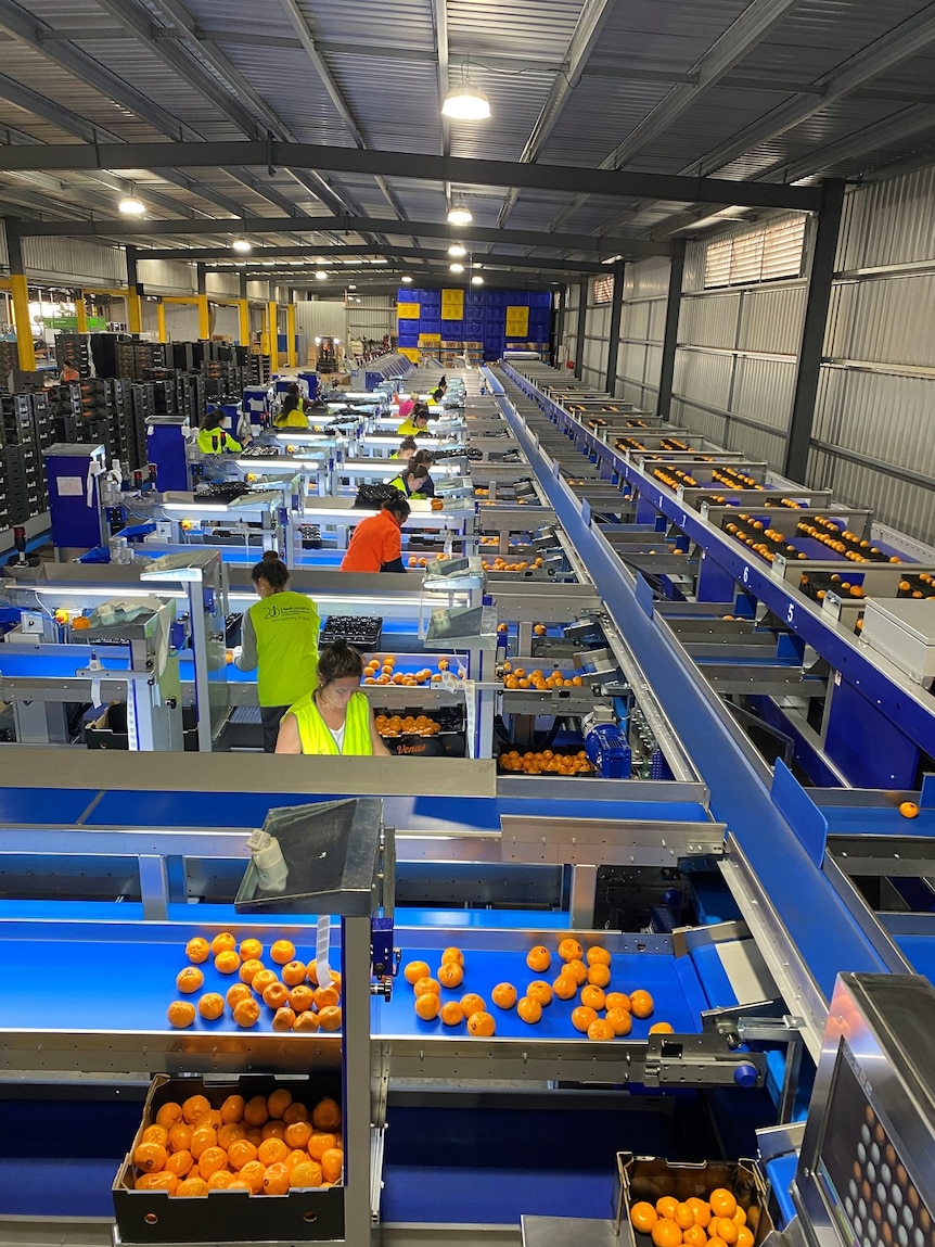 A large steel shed with orange packing conver belts