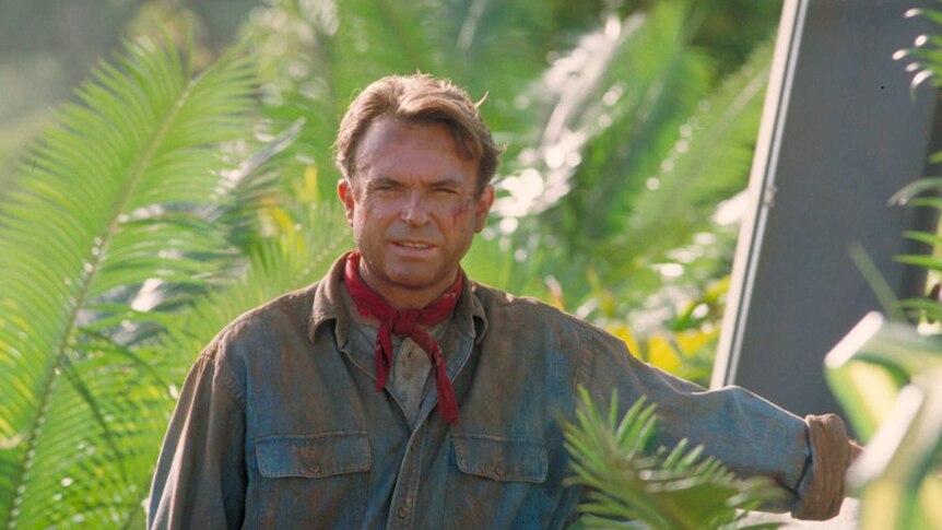 A scruffy man with tousled brown hair and a red neckerchief stands amidst tropical palm fronds.
