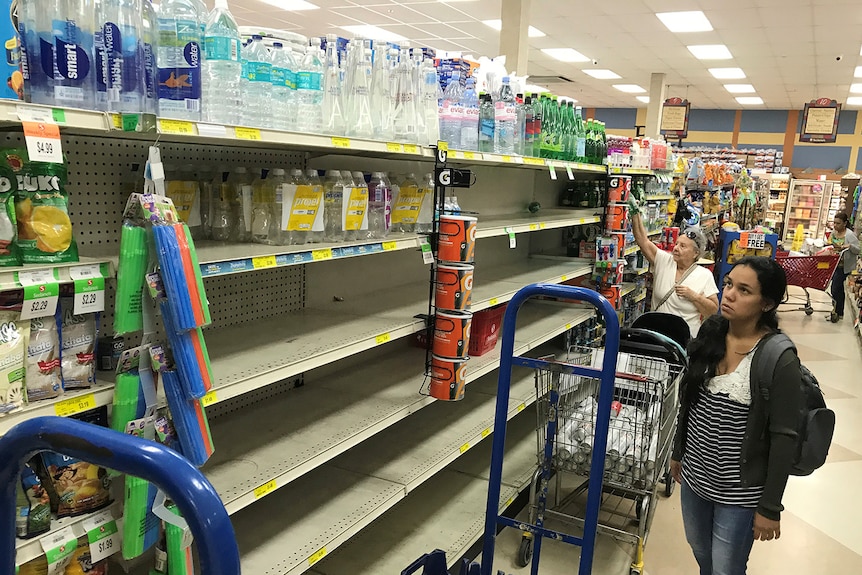 A shopper in Sedano's Supermarket looks at nearly empty water shelves.