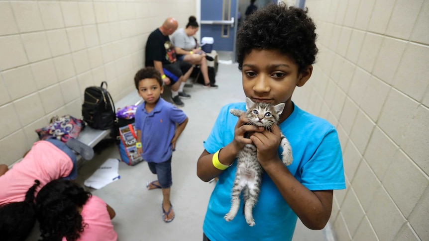 Keedan holds his kitten as he waits with his family in an evacuation centre
