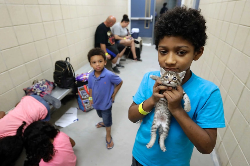 Keedan holds his kitten as he waits with his family in an evacuation centre