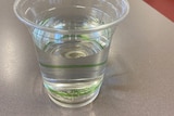 Bicup of tap water.