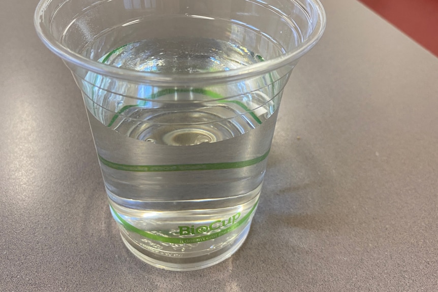 Bicup of tap water.