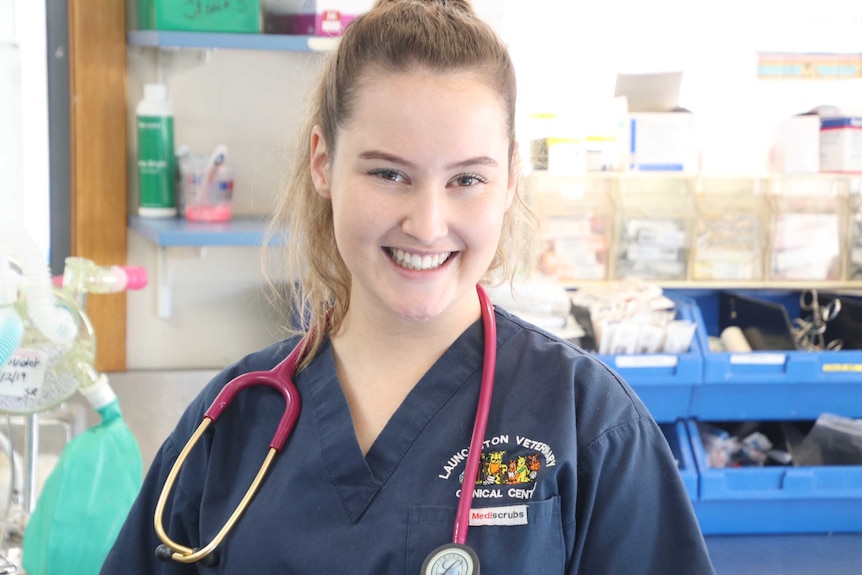 Launceston veterinarian Perri Rea in surgery.