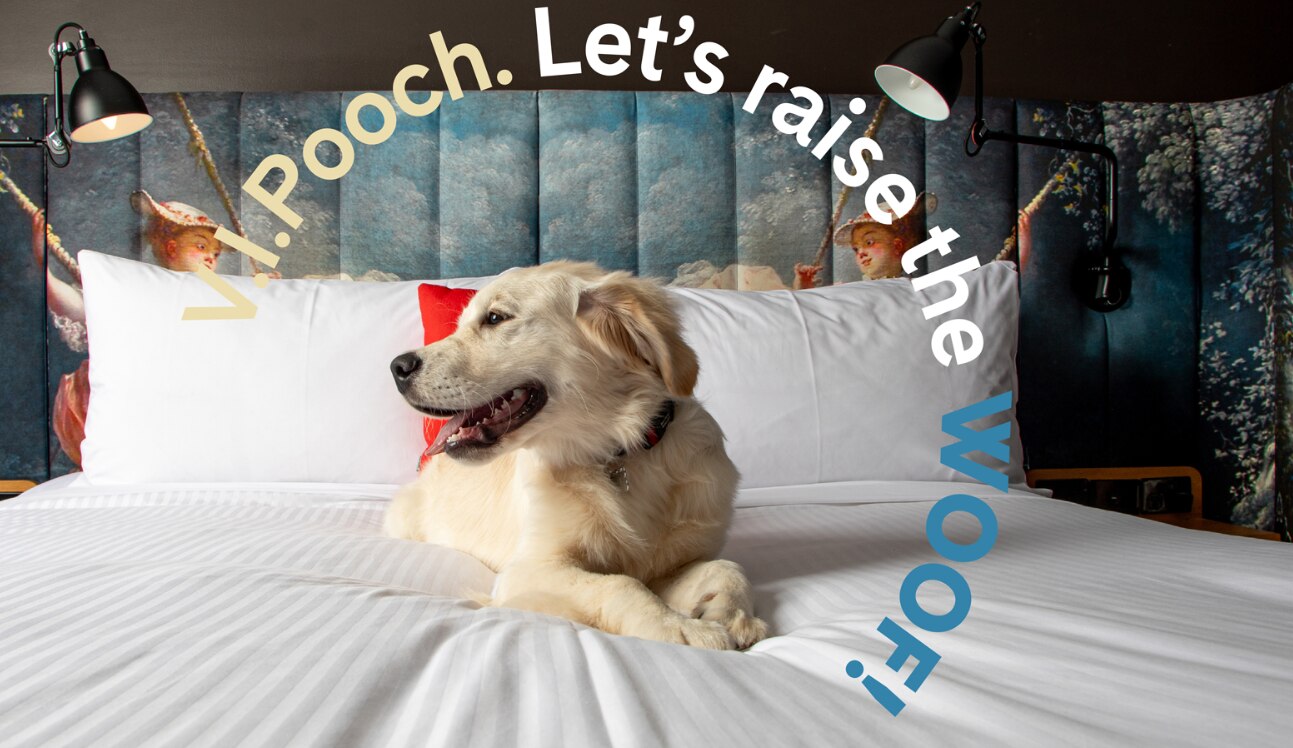 A golden retriever sitting on a white bed. Text encircles it that says: V.I.Pooch. Let's raise the WOOF.