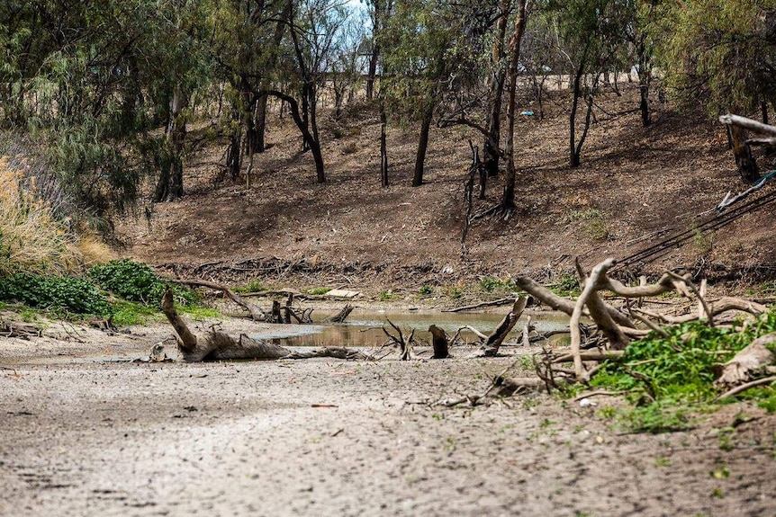 A mostly dry river with just a few pudddles of water