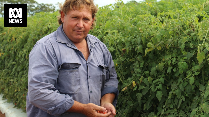 L’enquête parlementaire du Queensland sur les prix des supermarchés commence à Bundaberg